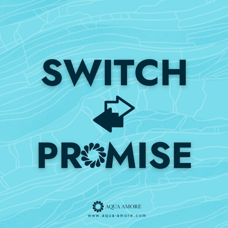 The Switch Promise