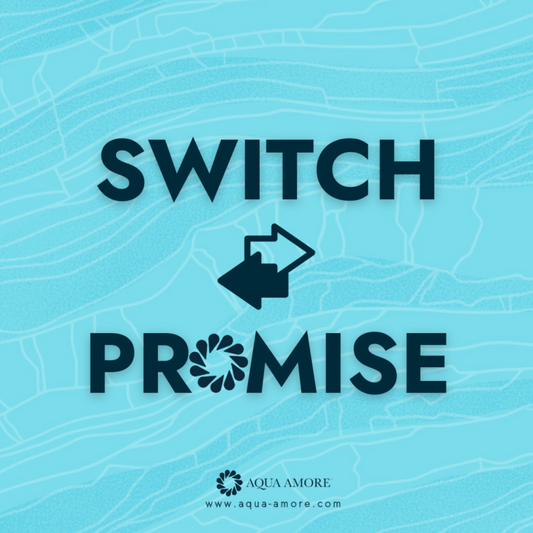The Switch Promise