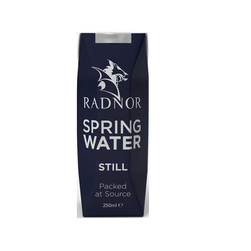Radnor-Hills-250ml-Carton
